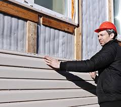 Best Vinyl Siding Installation  in Adrian, MN